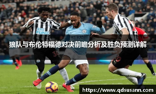 狼队与布伦特福德对决前瞻分析及胜负预测详解